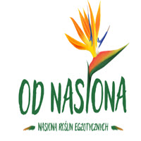 Od nasiona